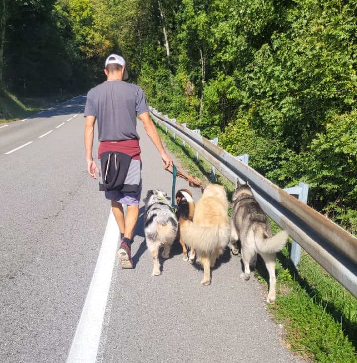 Anthony en train de marcher avec 4 chiens