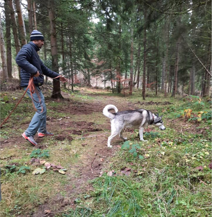 Anthony et Roby (chien) en plein exercice de mantrailing